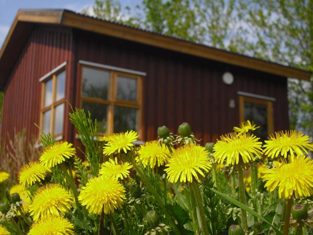 Guesthouse Pétursborg Akureyri Habitación foto