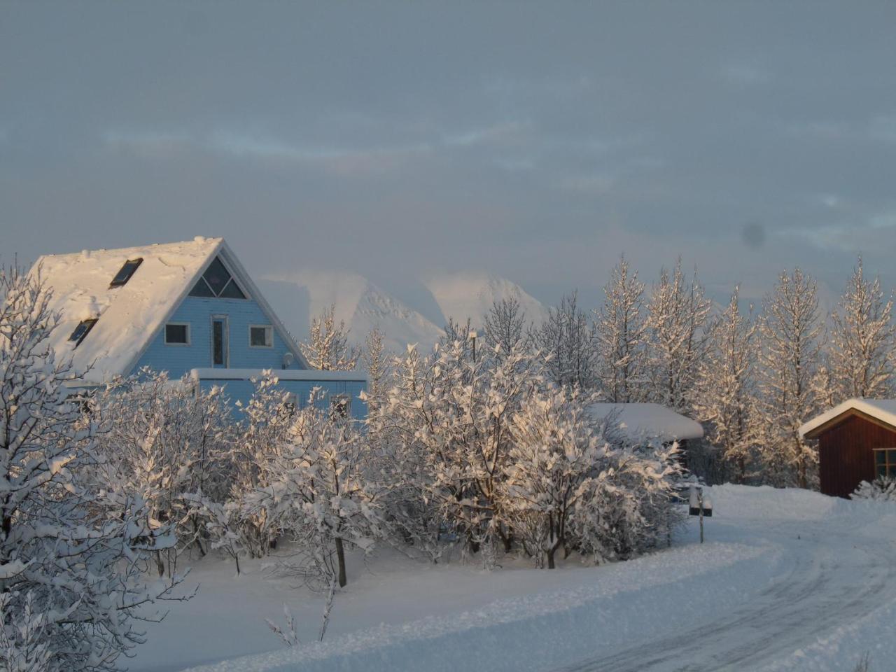 Guesthouse Pétursborg Akureyri Exterior foto